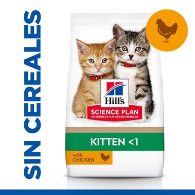 Hill’s Science Plan Kitten Pollo pienso para gatos